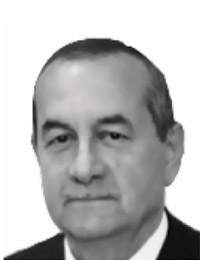 Gian Luigi Triboldi